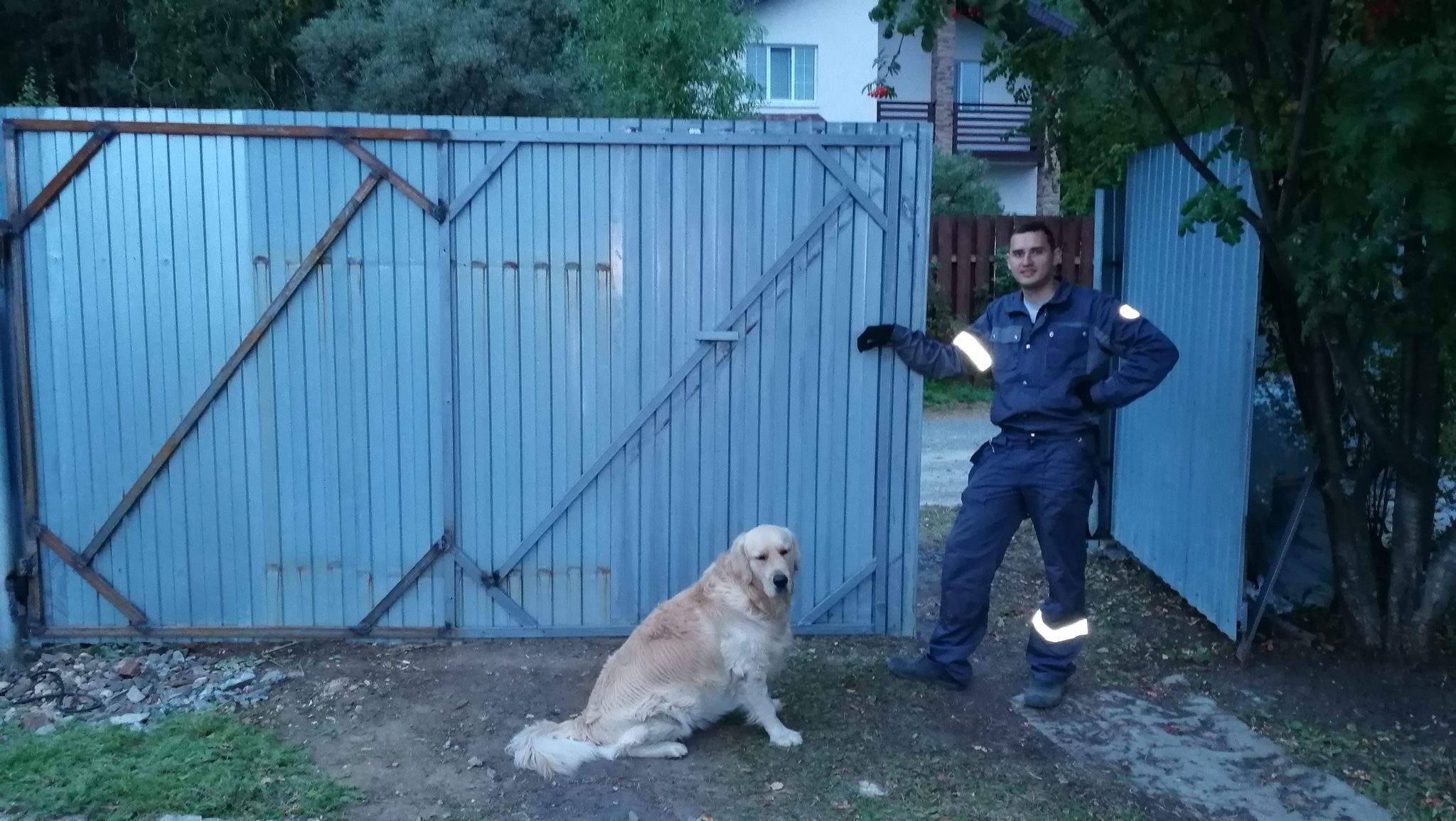 Участок начинает новую жизнь — 12